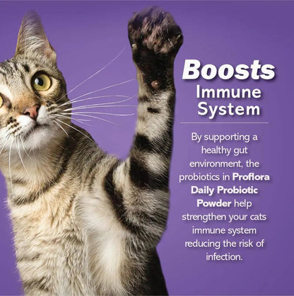 Cat Probiotic Powder, 30 Packets