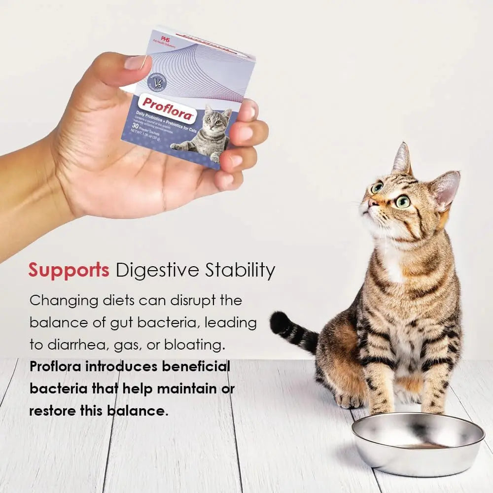 Cat Probiotic Powder, 30 Packets