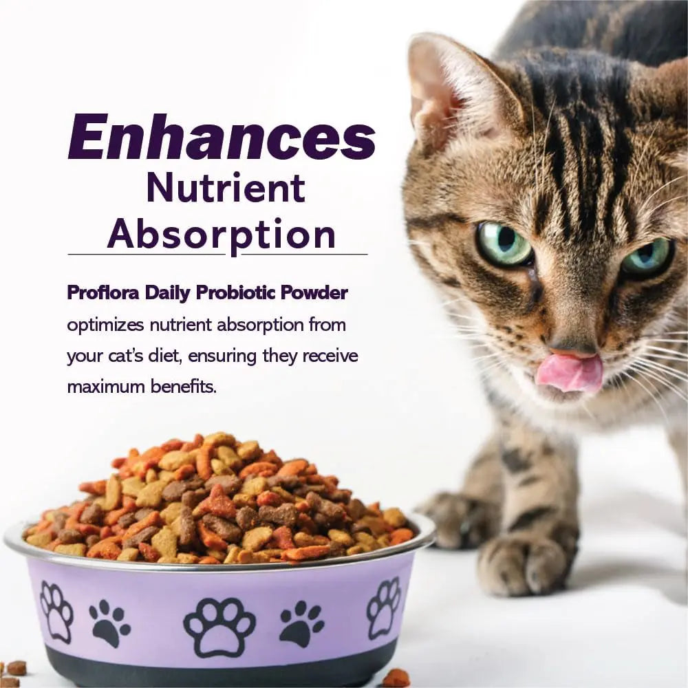 Cat Probiotic Powder, 30 Packets