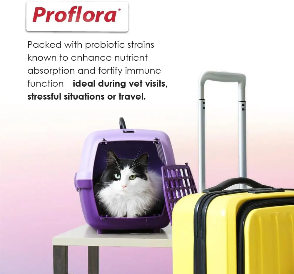 Cat Probiotic Powder, 30 Packets