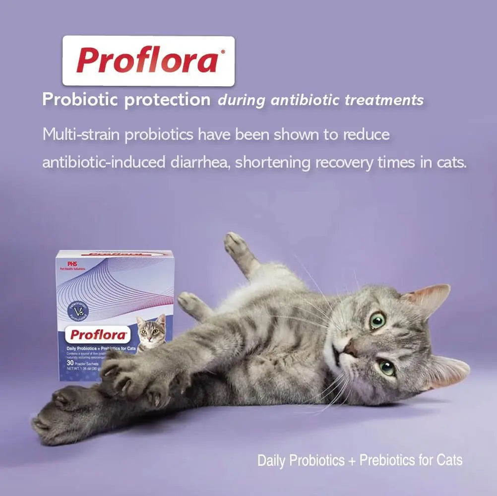 Cat Probiotic Powder, 30 Packets