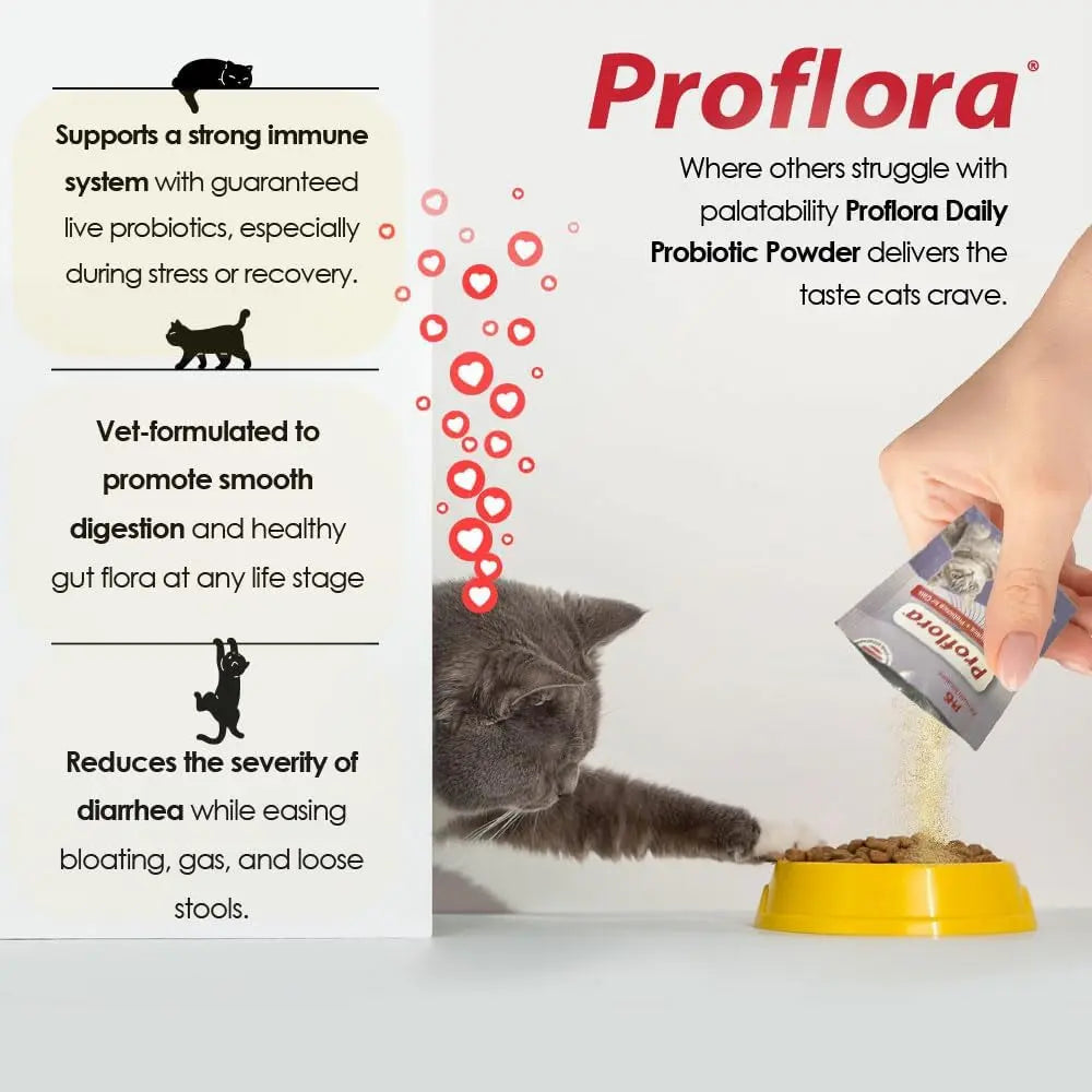 Cat Probiotic Powder, 30 Packets
