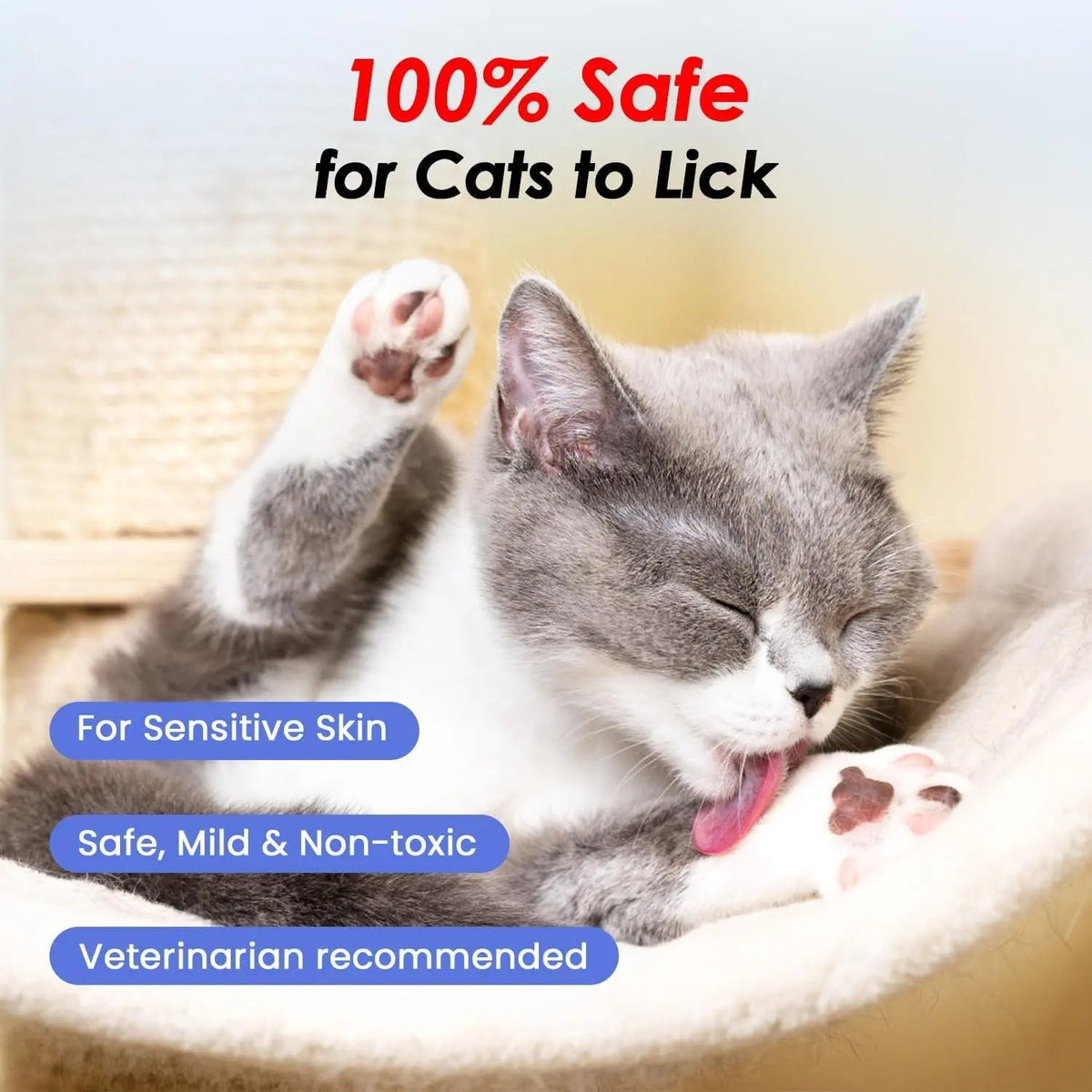 Waterless Cat Shampoo with Brush, No-Rinse
