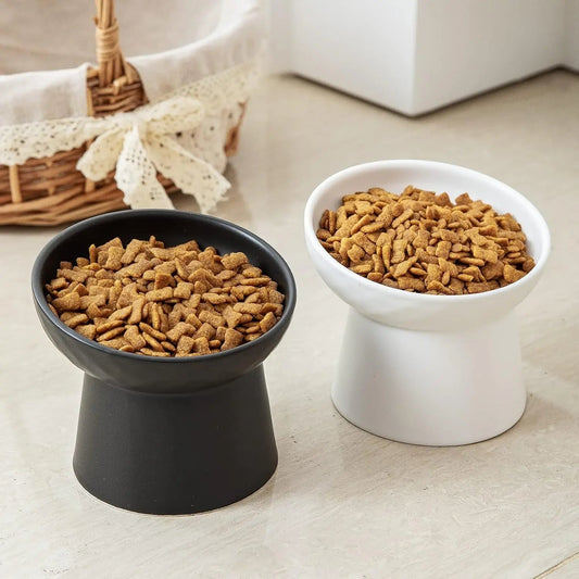 Raised Tilted Ceramic Cat Bowls, Set of 2