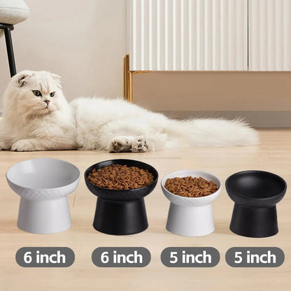 Raised Tilted Ceramic Cat Bowls, Set of 2