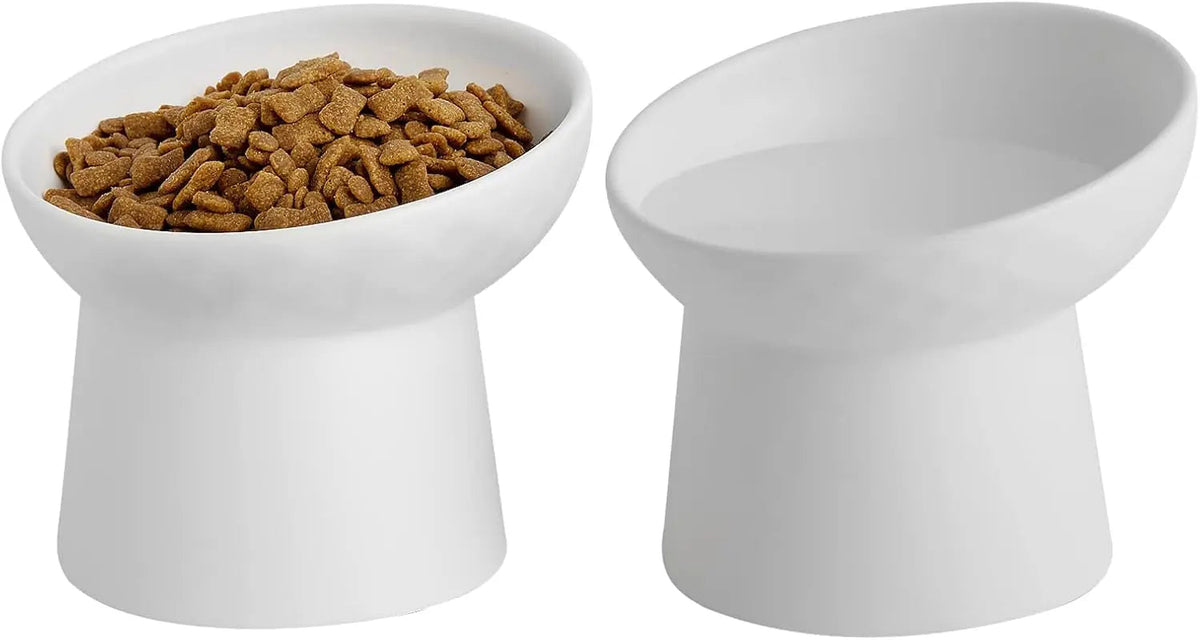 Raised Tilted Ceramic Cat Bowls, Set of 2