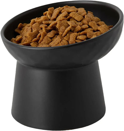 Raised Tilted Ceramic Cat Bowls, Set of 2
