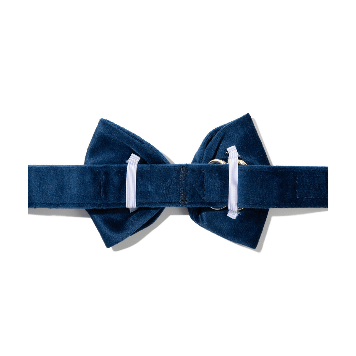 Channing dog bow tie — additional photo 2