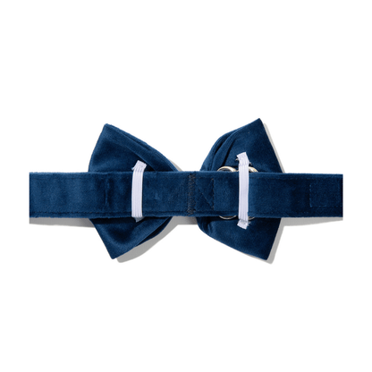 Channing dog bow tie — additional photo 2