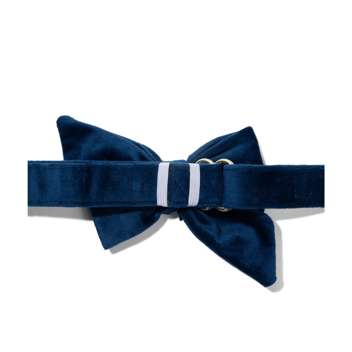 Channing dog babe bow — additional photo 2
