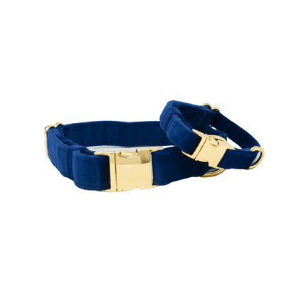 Channing – Navy Dog Collar, Adjustable XS–L