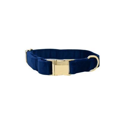 Channing dog collar — additional photo 2