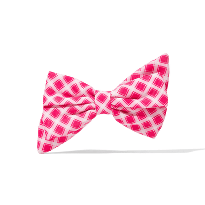 Chrishell – Gingham Dog Babe Bow, Slides on Any Collar