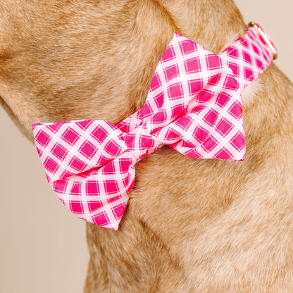 Chrishell dog bow tie — additional photo 4