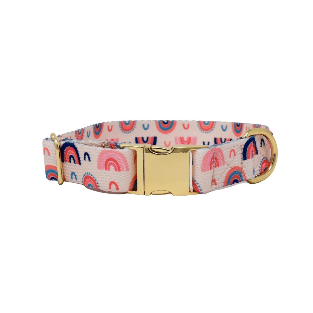 Clarke dog collar — additional photo 2