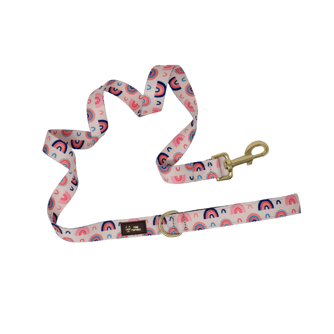 Clarke – Rainbow Dog Leash 4ft & 6ft, Padded Handle