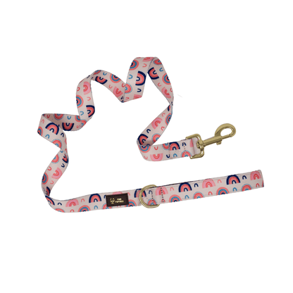 Clarke – Rainbow Dog Leash 4ft & 6ft, Padded Handle