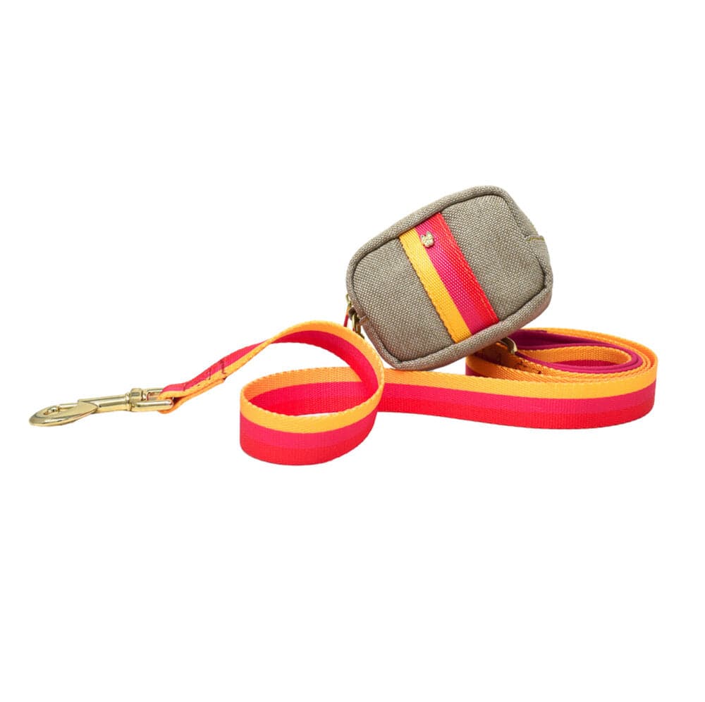 Zara dog leash — additional photo 3