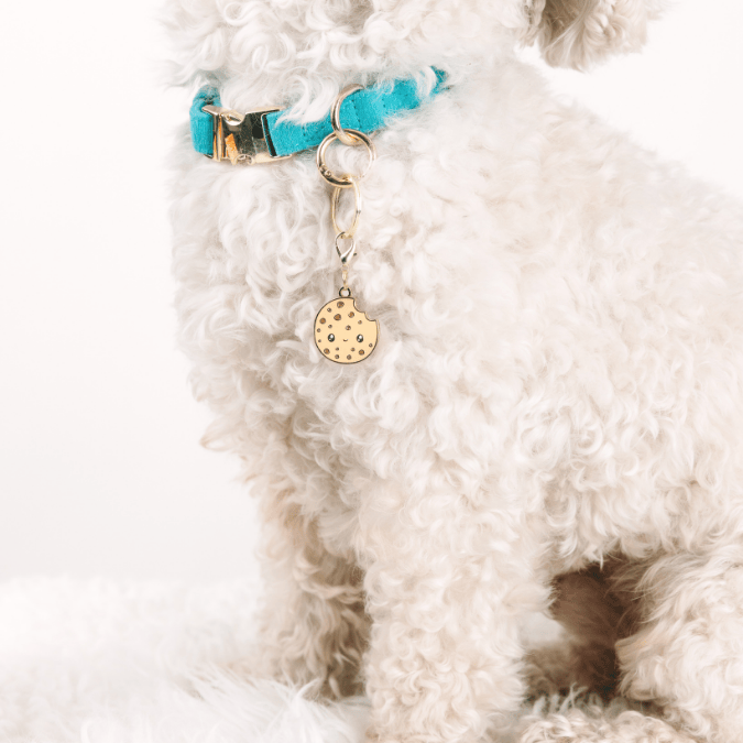 Cookie Dog Collar Charm — additional photo 2