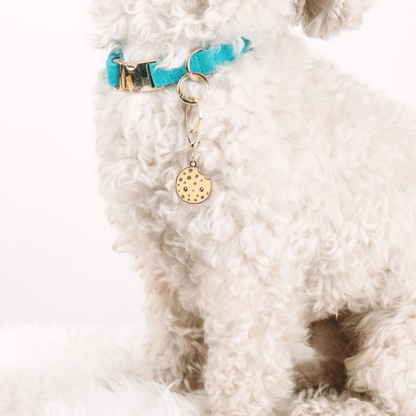 Cookie Dog Collar Charm — additional photo 2