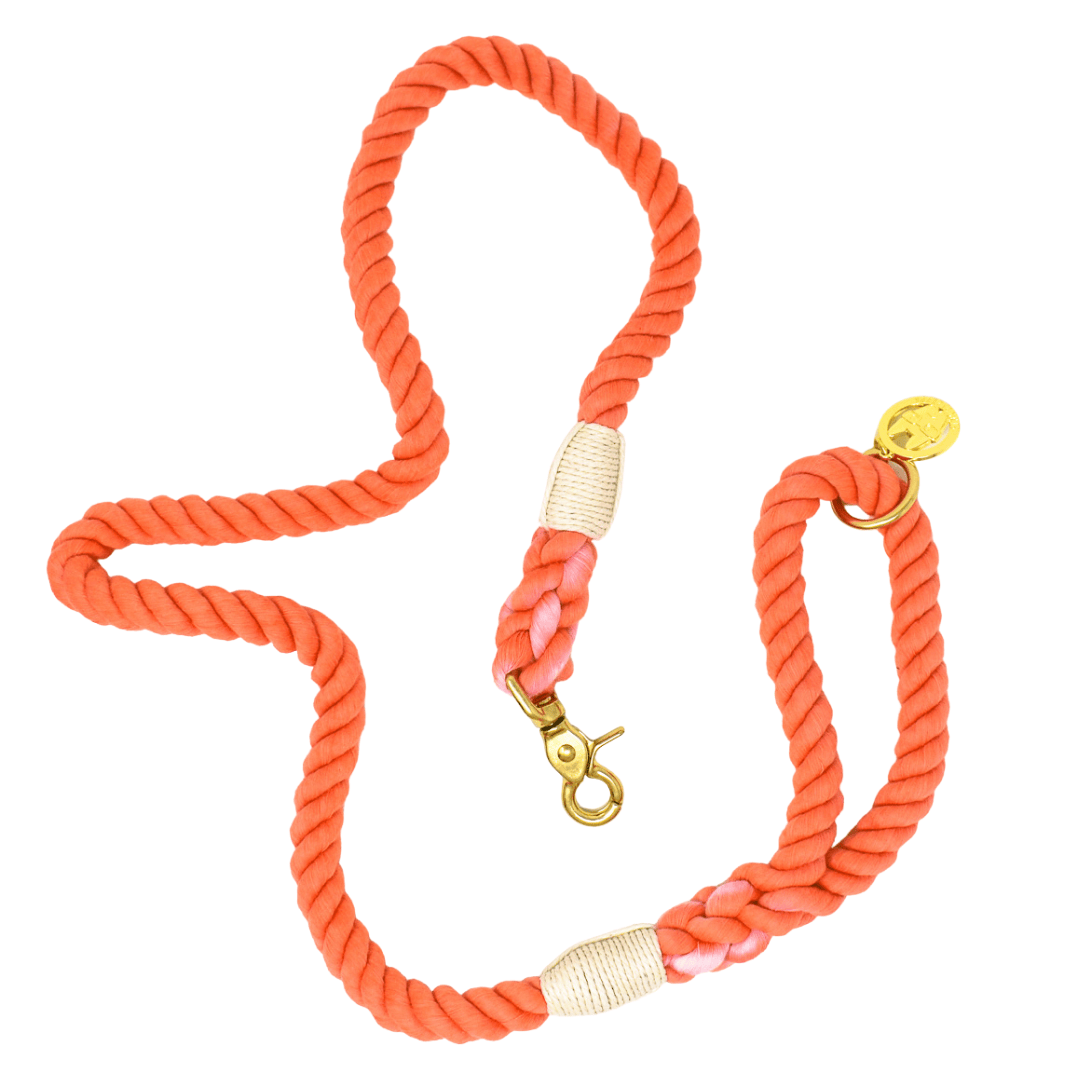 Cora – Organic Cotton Rope Dog Leash, Coral