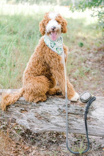 Cosette dog bandana — additional photo 3
