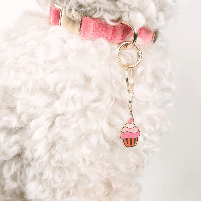 Cupcake Dog Collar Charm — additional photo 3