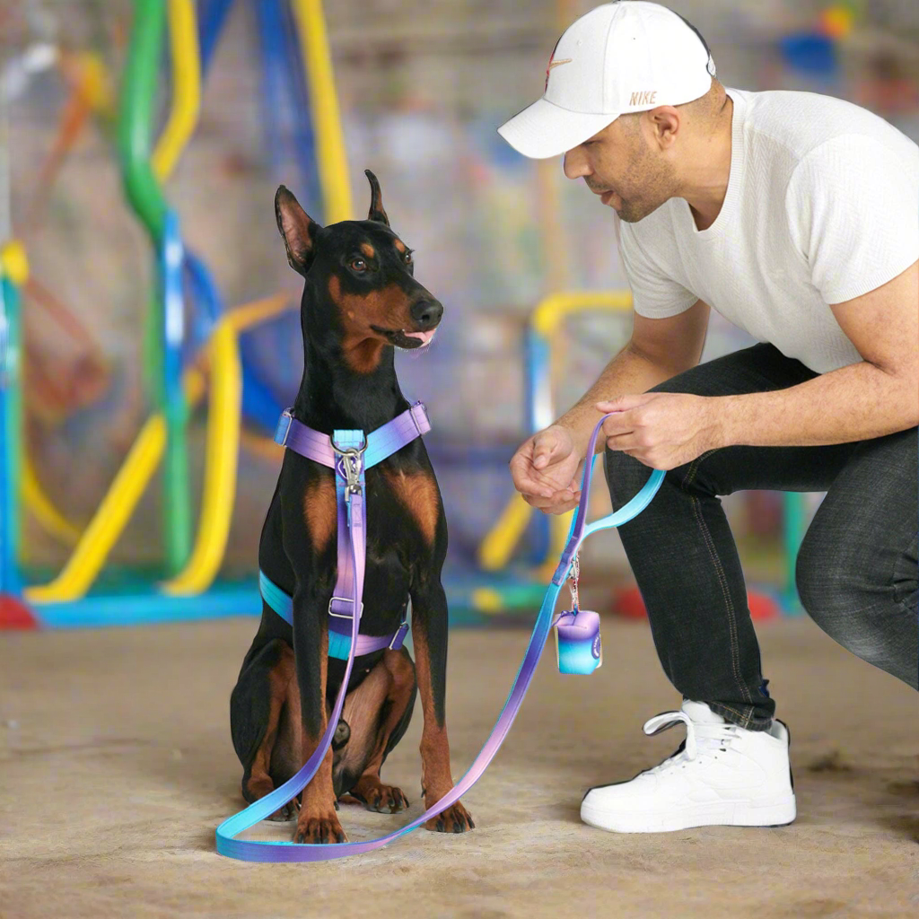 Comfort Control 90s retro no-pull dog harness - view 6