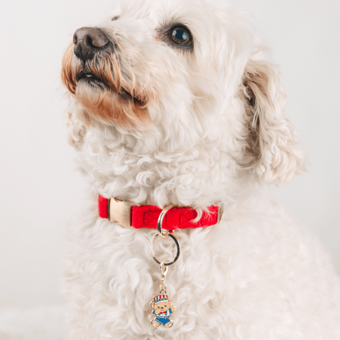 Dabbing American Bear Dog Collar Charm — additional photo 2