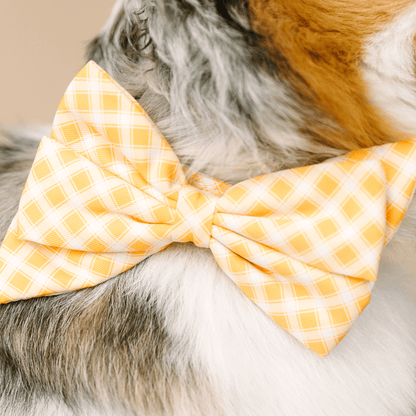 Daisy dog babe bow — additional photo 4