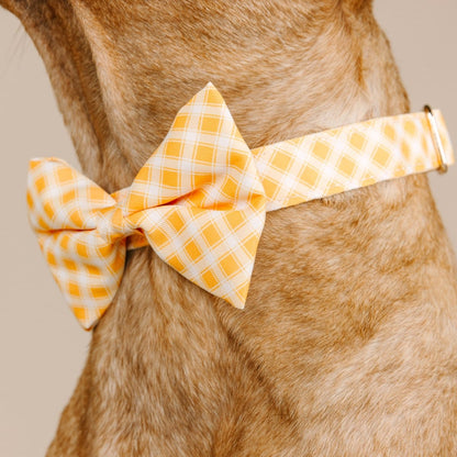 Daisy dog bow tie — additional photo 4
