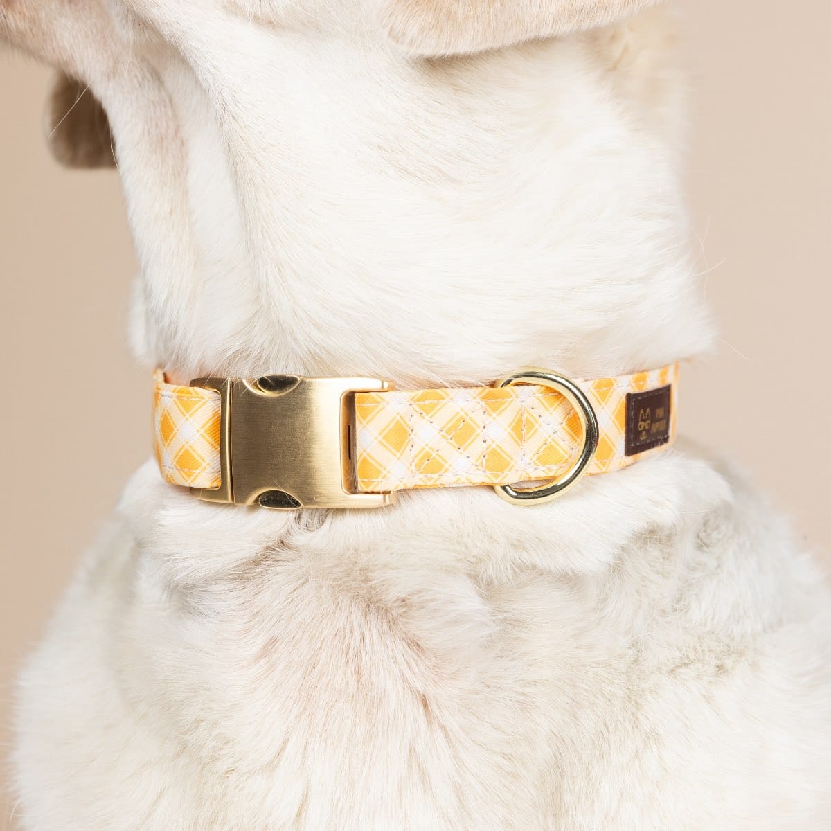 Daisy dog collar — additional photo 5