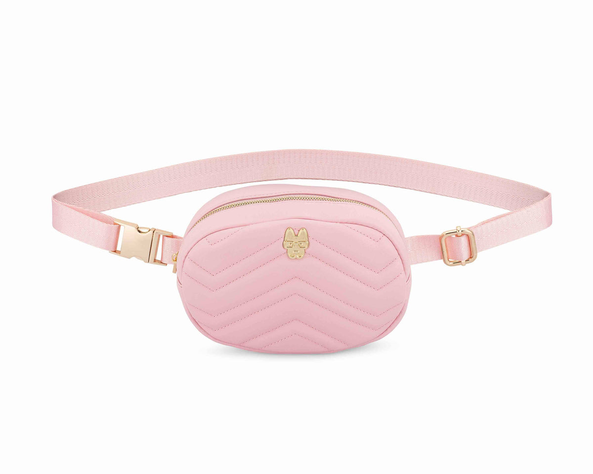 Daphne – Hands-Free Dog Walking Belt Bag, Nylon