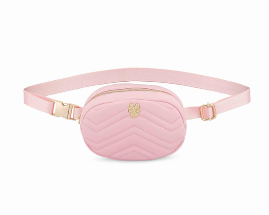 Daphne – Hands-Free Dog Walking Belt Bag, Nylon