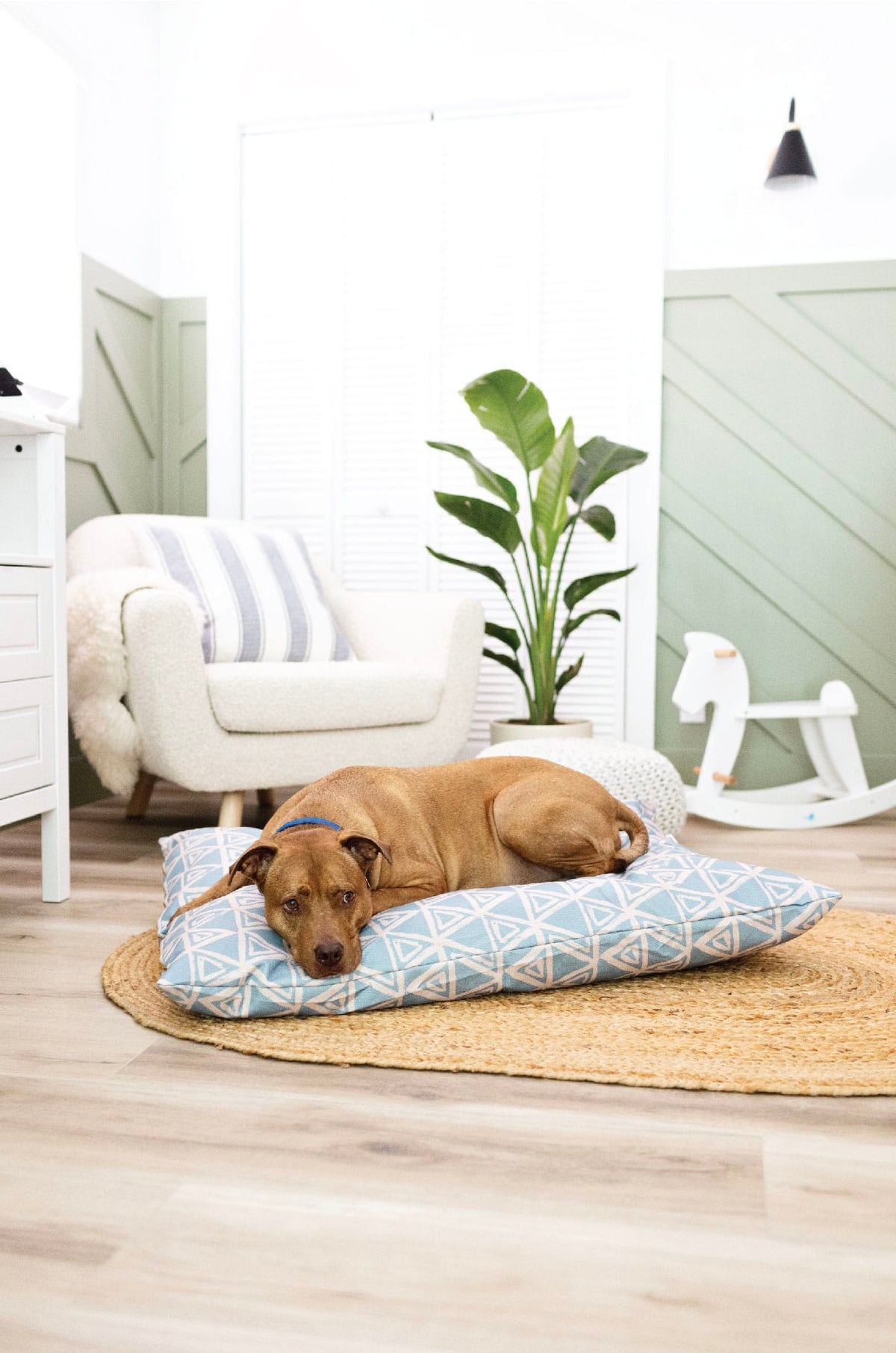 Davina dog bed — additional photo 4