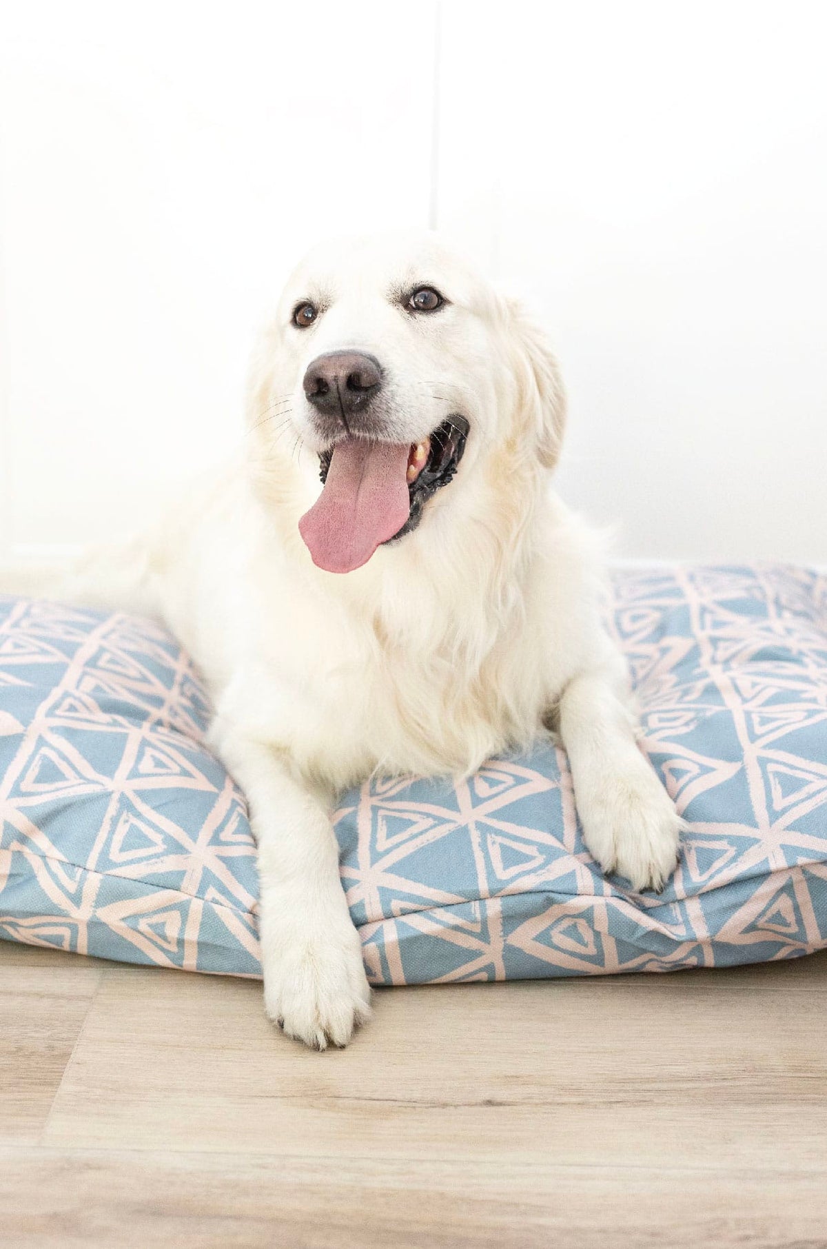 Davina dog bed — additional photo 5