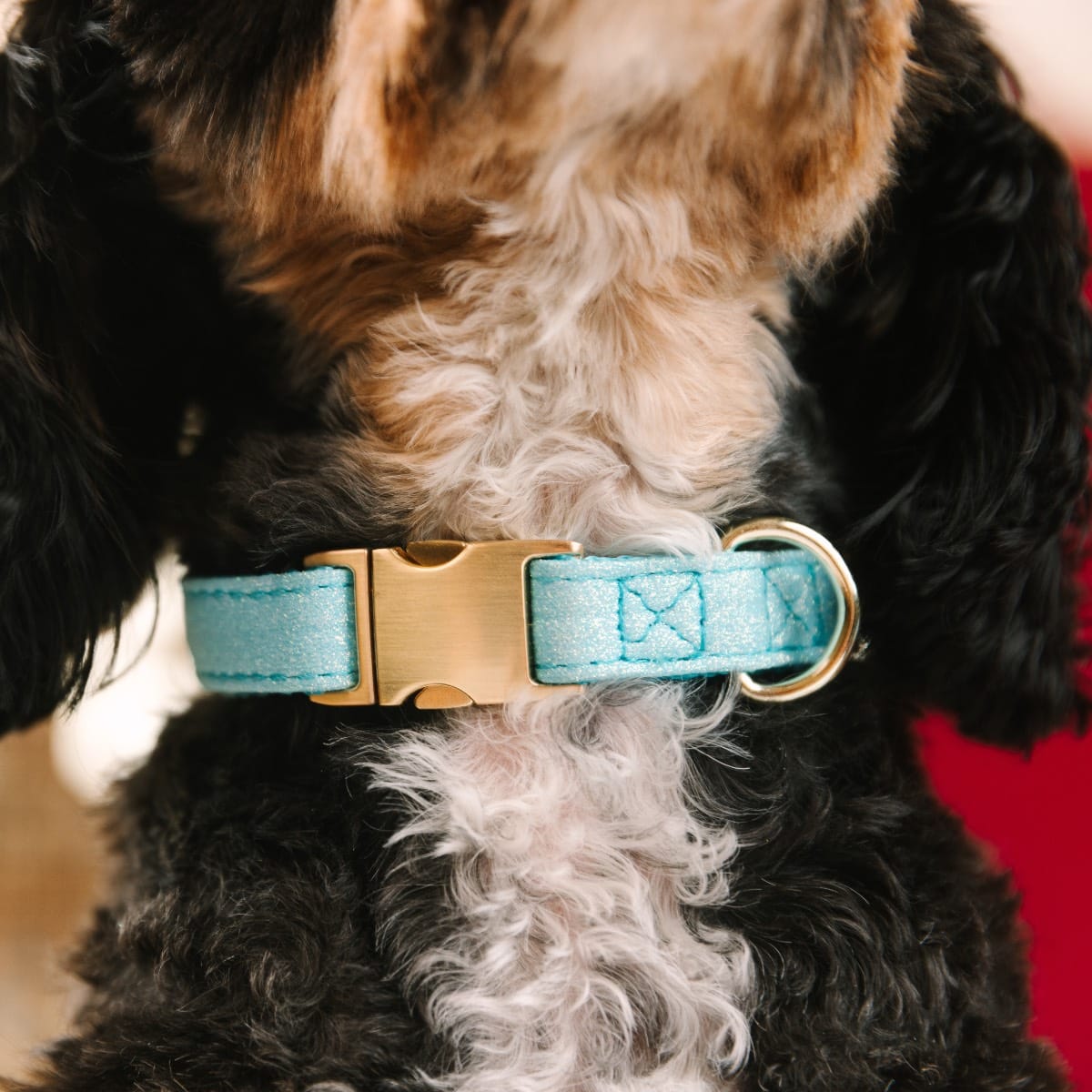 Dawson dog collar — additional photo 4