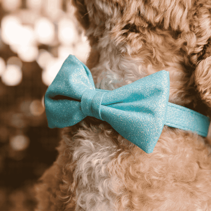 Dawson dog bow tie — additional photo 4