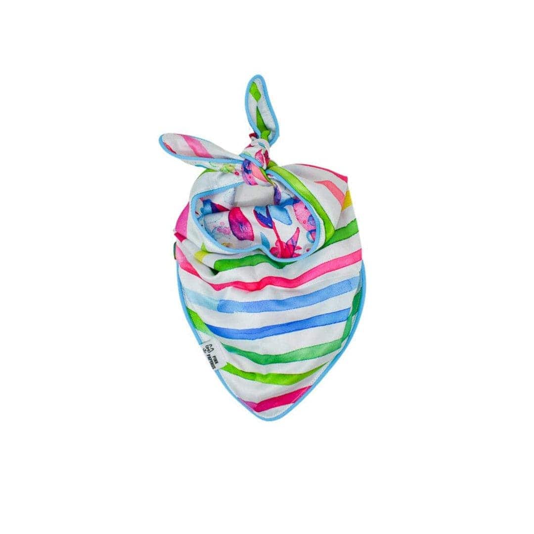 Delilah – Multicolor Dog Bandana, Reversible & No-Fold