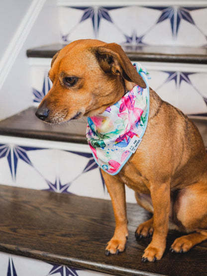 Delilah dog bandana — additional photo 3