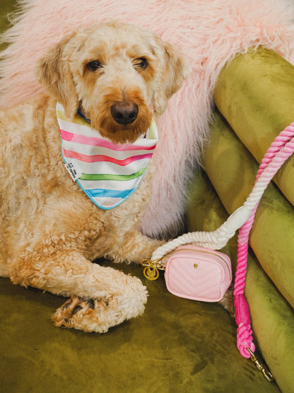 Delilah dog bandana — additional photo 2