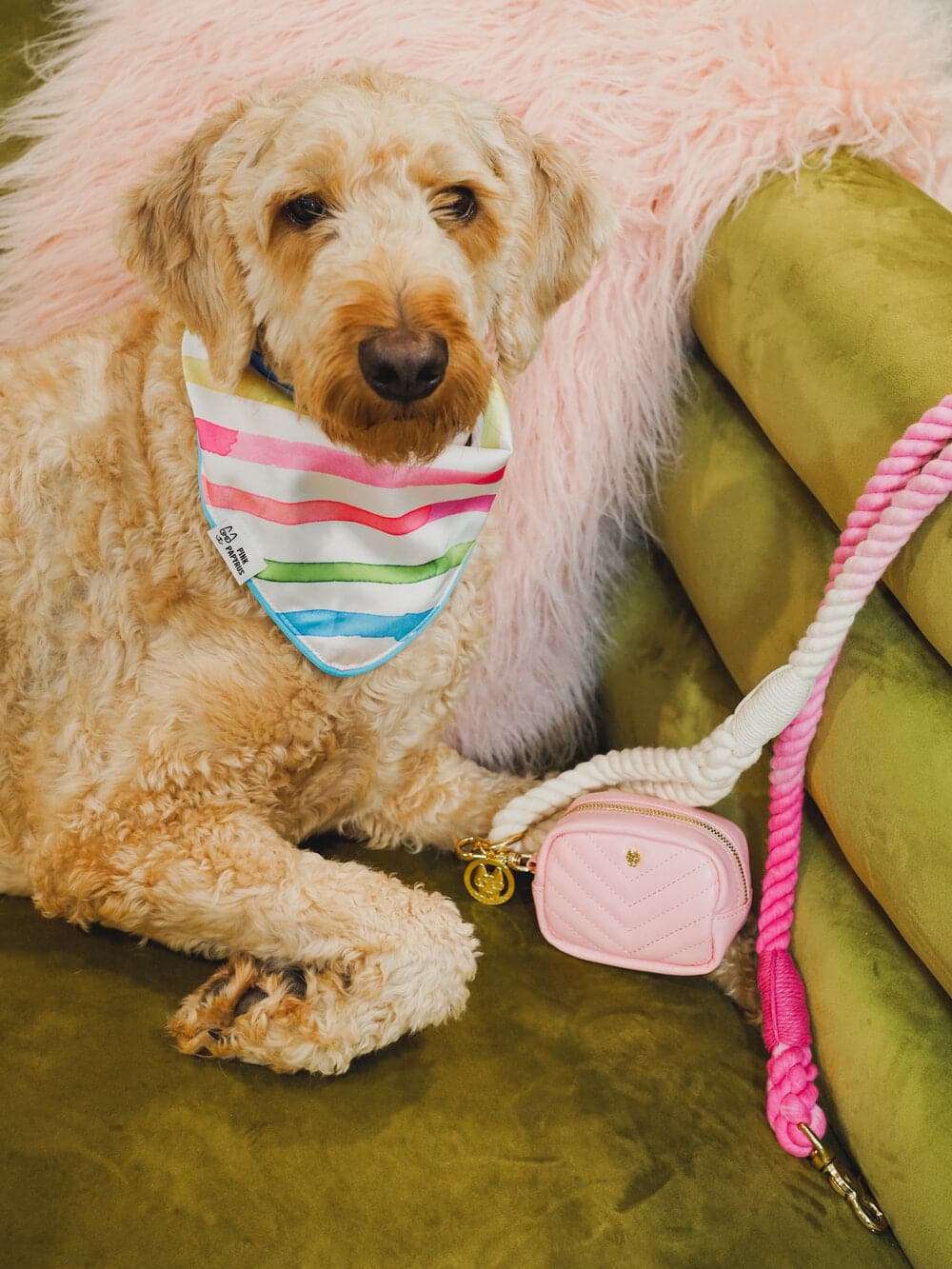 Delilah dog bandana — additional photo 4