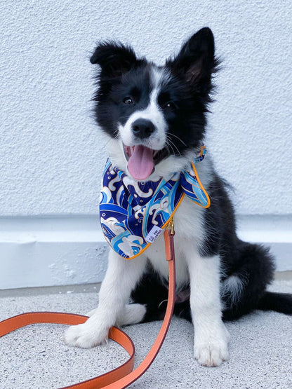 Destin dog bandana — additional photo 2