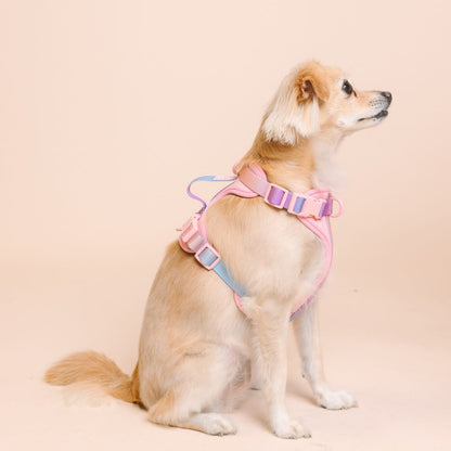 Diem dog harness — additional photo 4
