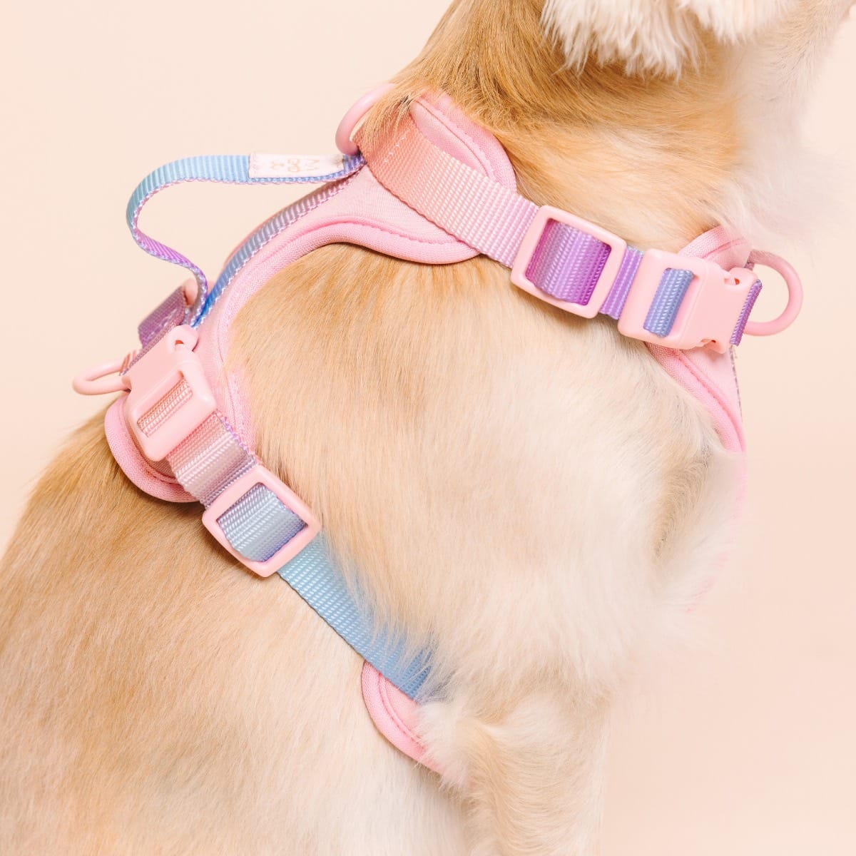 Diem dog harness — additional photo 5