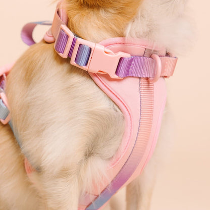 Diem dog harness — additional photo 6