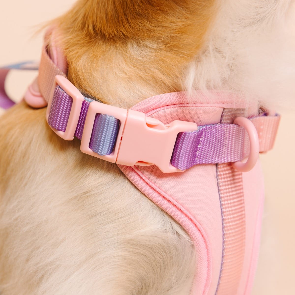 Diem dog harness — additional photo 7