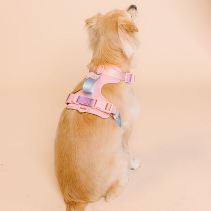 Diem dog harness — additional photo 8
