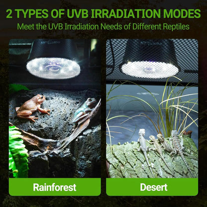 Dimmable UVB Reptile Light LED UVA UVB Lamp Tropical Desert Fixture