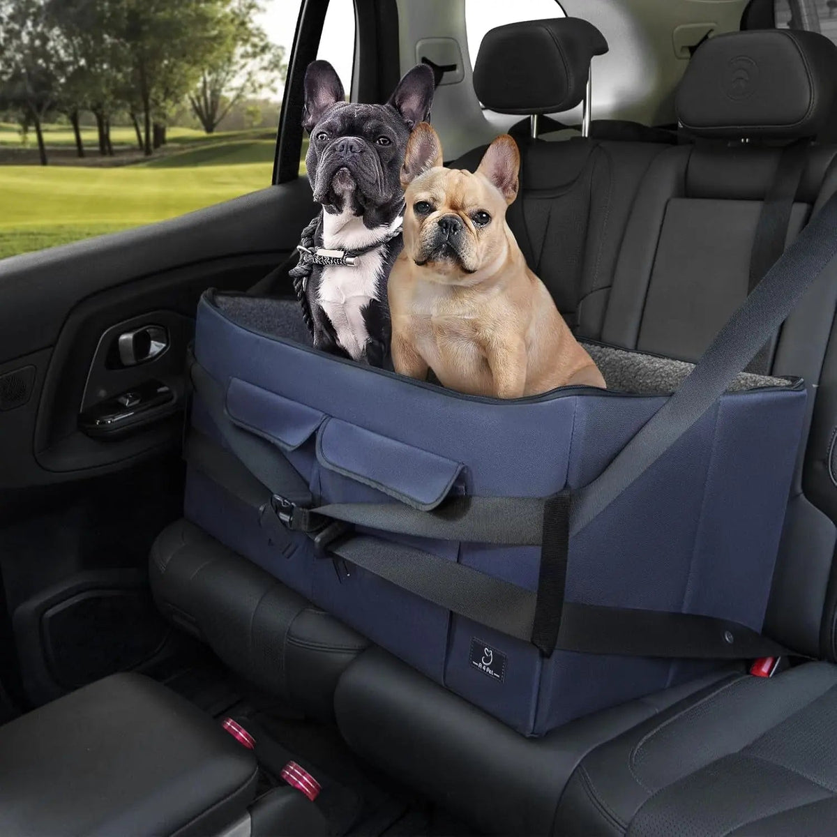 Dog Car Seat Booster for Small Dogs Under 25lbs, Travel Safety Seat with Leash